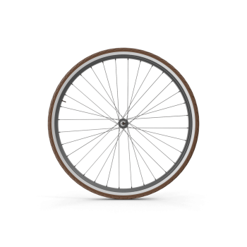 Bike Wheel