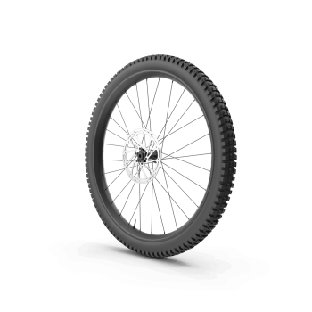 Mountain Bike Wheel 01