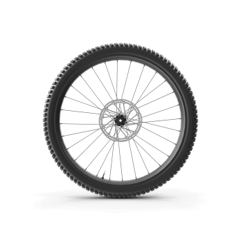 Mountain Bike Wheel 01