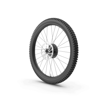 Rear Bike Wheel