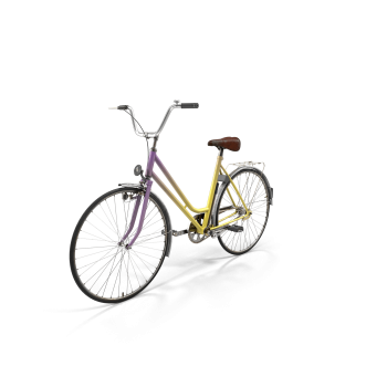 Rainbow Polyvalent Bike