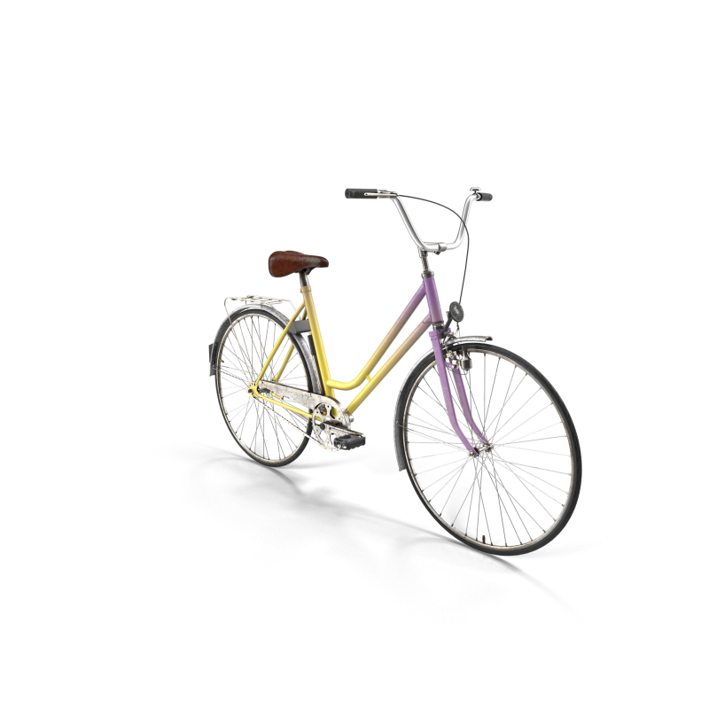 Rainbow Polyvalent Bike