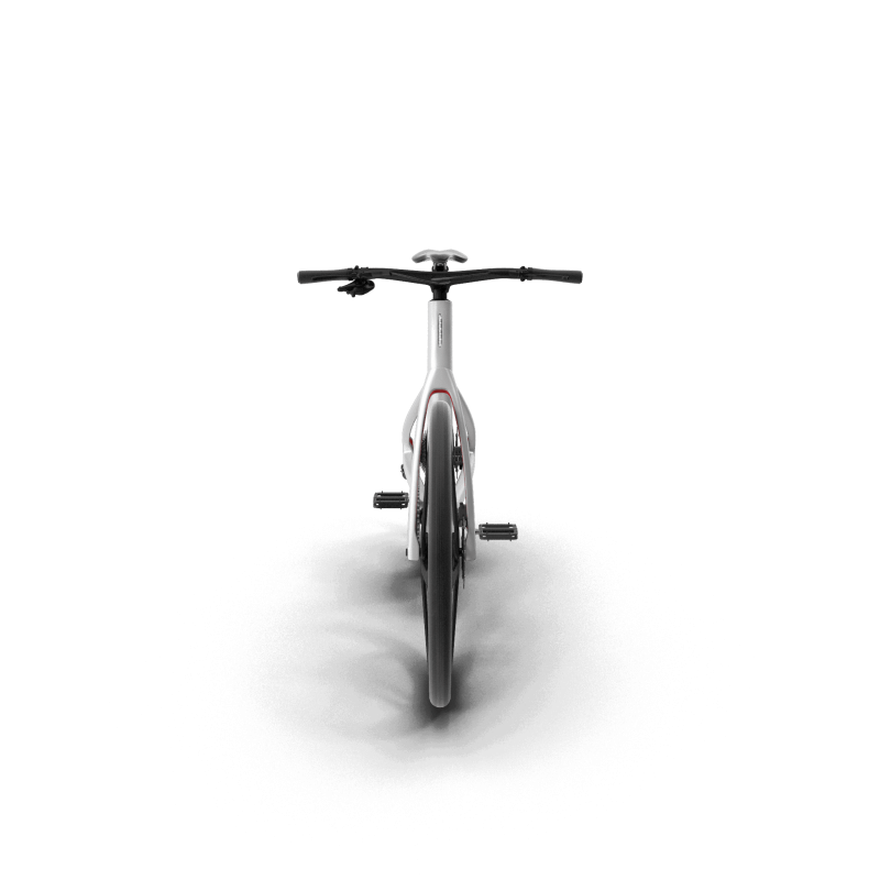 Electric Carbon Bike