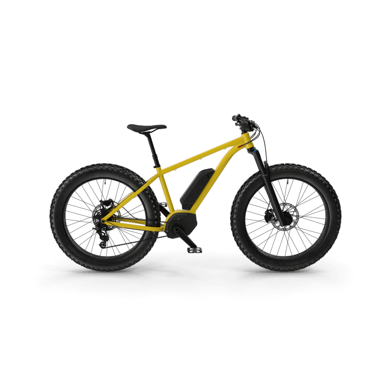 Electric Fat Bike