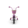 Girls Bike with Training Wheels