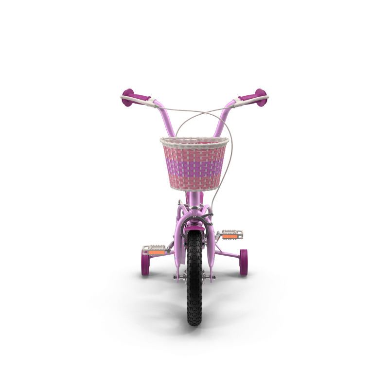 Girls Bike with Training Wheels