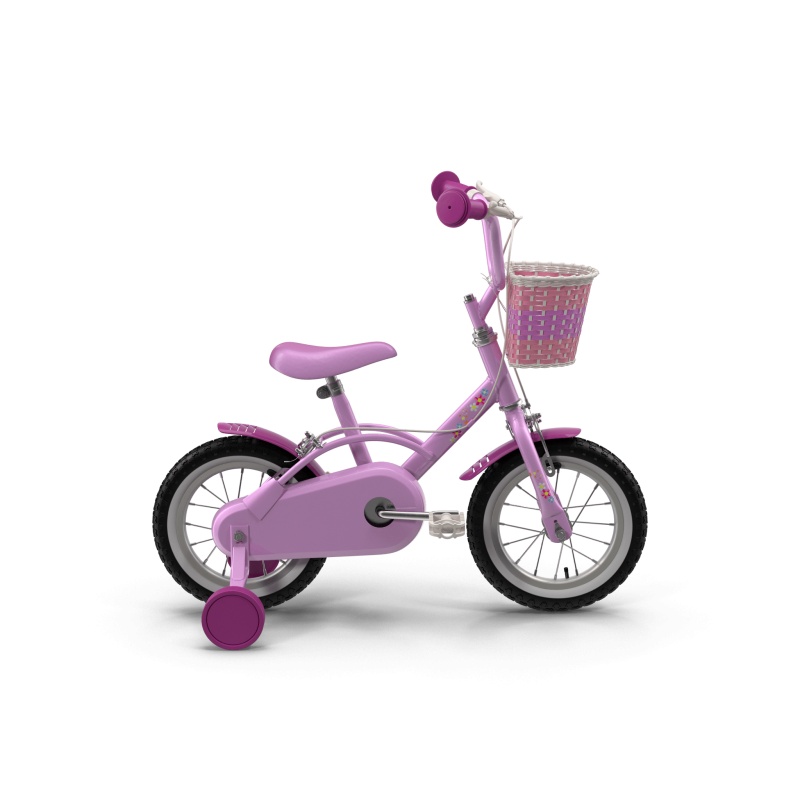 Girls Bike with Training Wheels