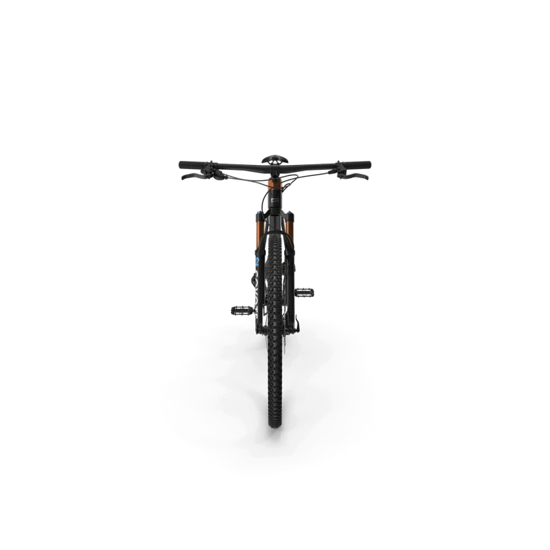 Mountain Bike for Men