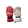 Ski Gloves 05