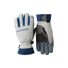 Ski Gloves 06