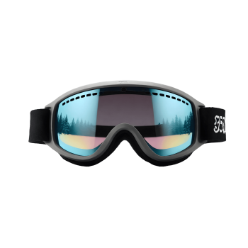 Ski Goggles 07